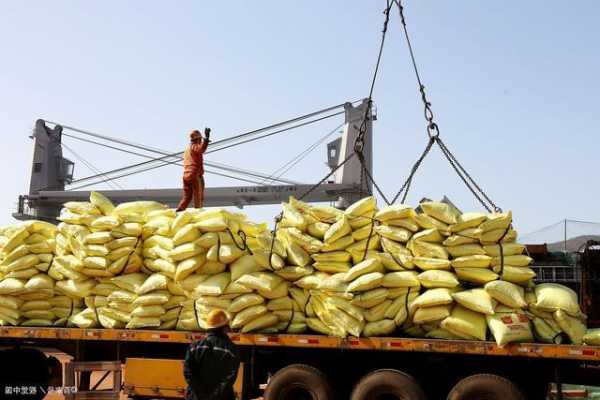 卓创资讯：巴西堵港导致采购转向 11月豆粕供应低于预期
