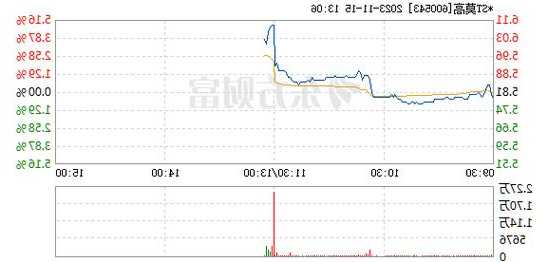 银龙股份上涨5.03%，报6.05元/股